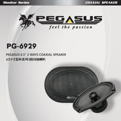Pegasus Monitor Series 6x9” 2 Way Coaxial Speaker