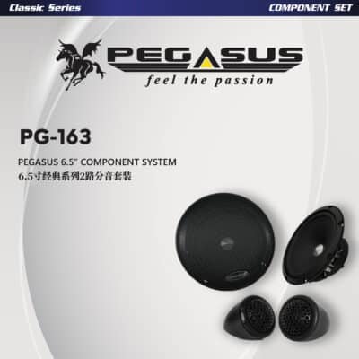 Pegasus 6.5” Classic Series Component System