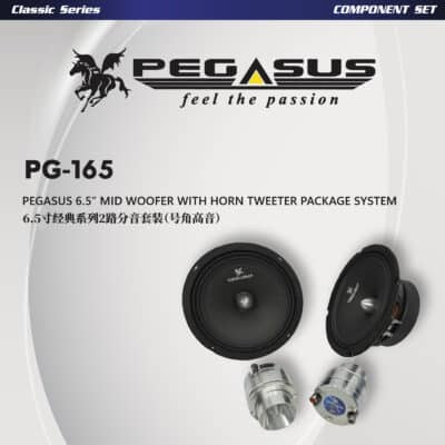 Pegasus 6.5” Mid Woofer with Horn Tweeter Package System