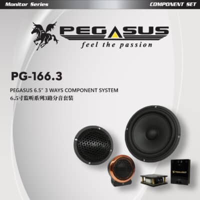 Pegasus Monitor Series 6.5” 3 Ways Component System