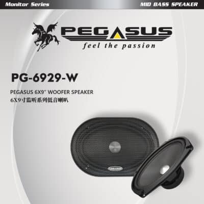 Pegasus Monitor Series 6x9” Woofer Speaker