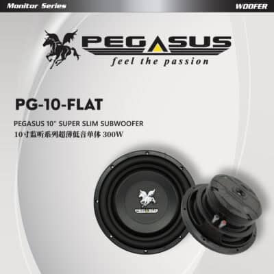 Pegasus 10” Super Slim Subwoofer