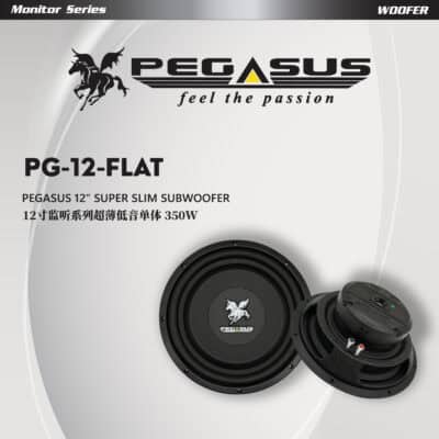 Pegasus 12” Super Slim Subwoofer