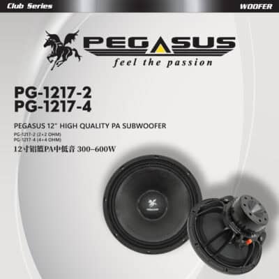Pegasus 12” High Quality PA Subwoofer