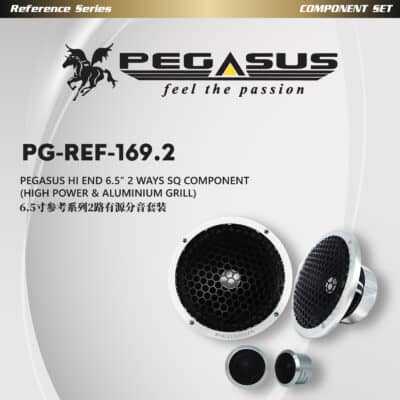 PEGASUS Reference series HI END 6.5'' 2 WAYS SQ COMPONENT