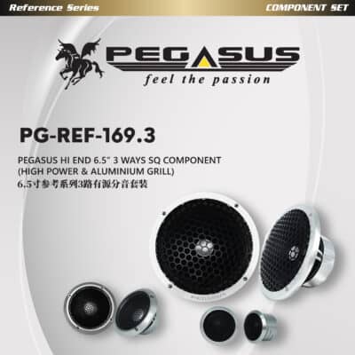 PEGASUS Reference series HI END 6.5'' 3 WAYS SQ Acitve COMPONENT