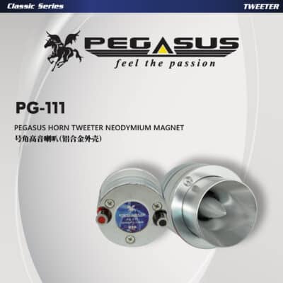 Pegasus Horn Tweeter Neodymium Magnet