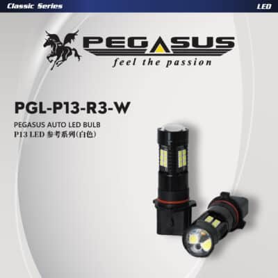 Pegasus Auto LED Light