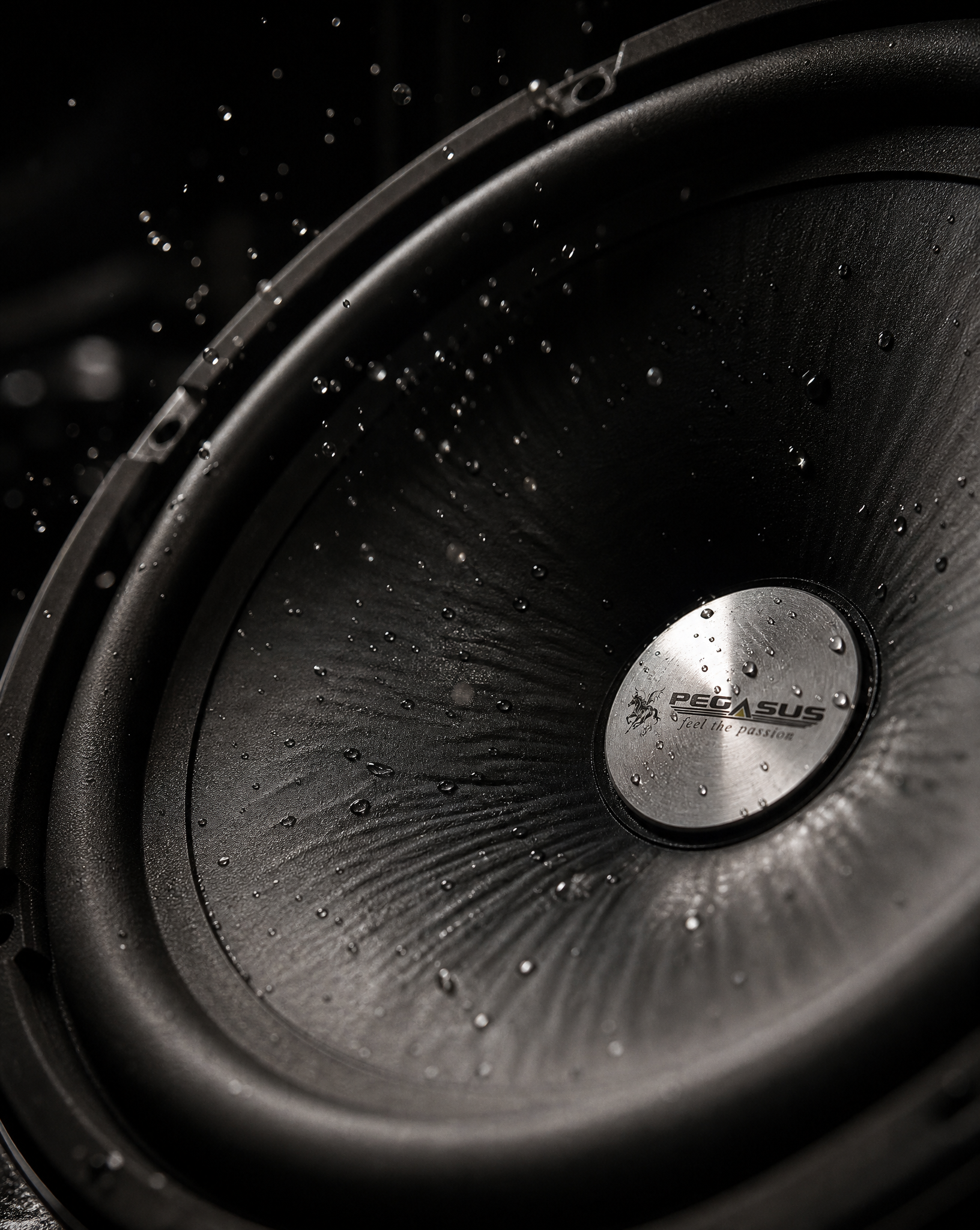 Speakers